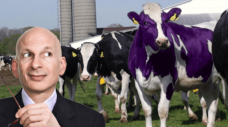 Jordan Disberger Purple Cow